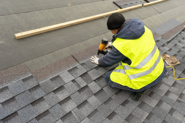Best Roof Coating and Sealing  in Warrenvle, IL